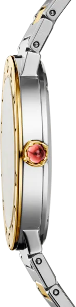 BVLGARI Bulgari Bulgari Or & Acier 104196 - profil