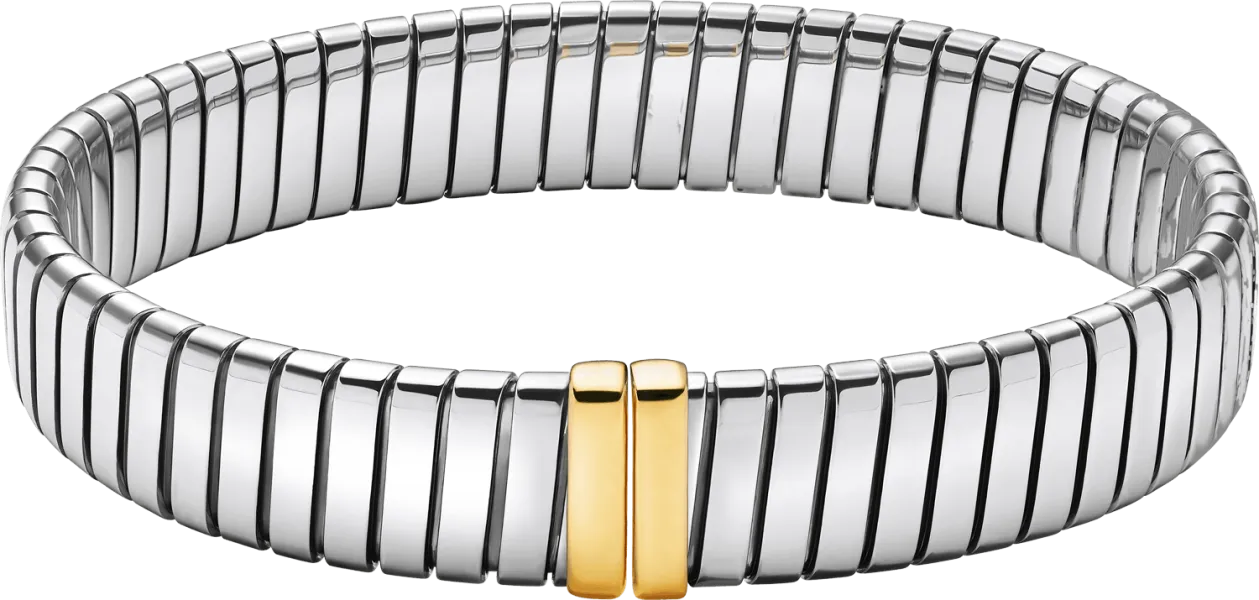 BVLGARI Gold & Steel BR860869 close